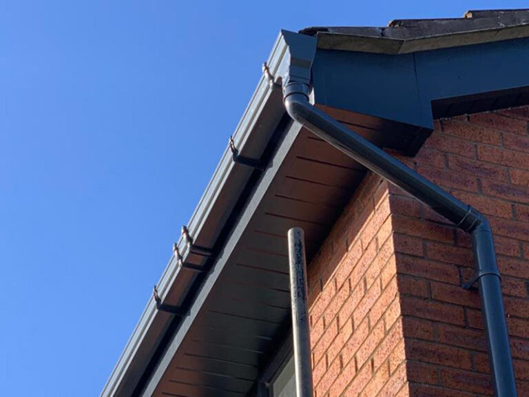 Fascia and Soffit Cleaning