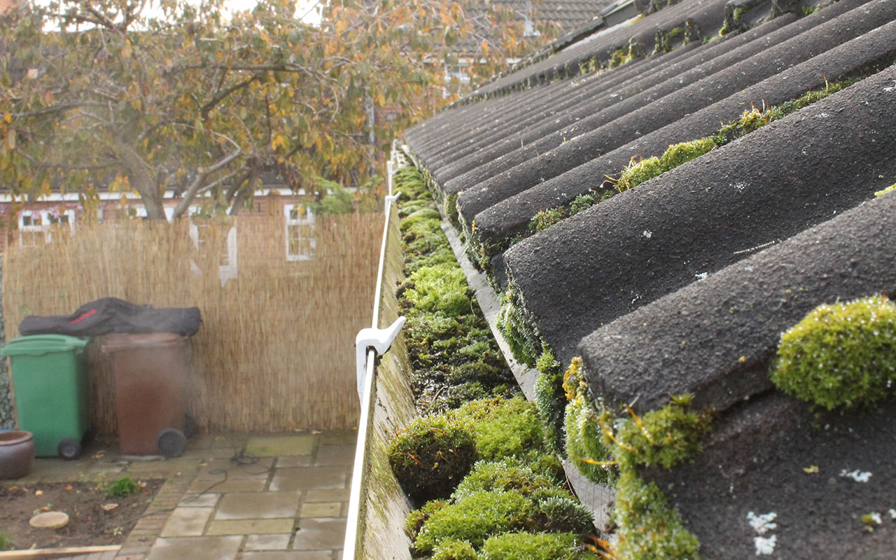 Gutter Cleaning