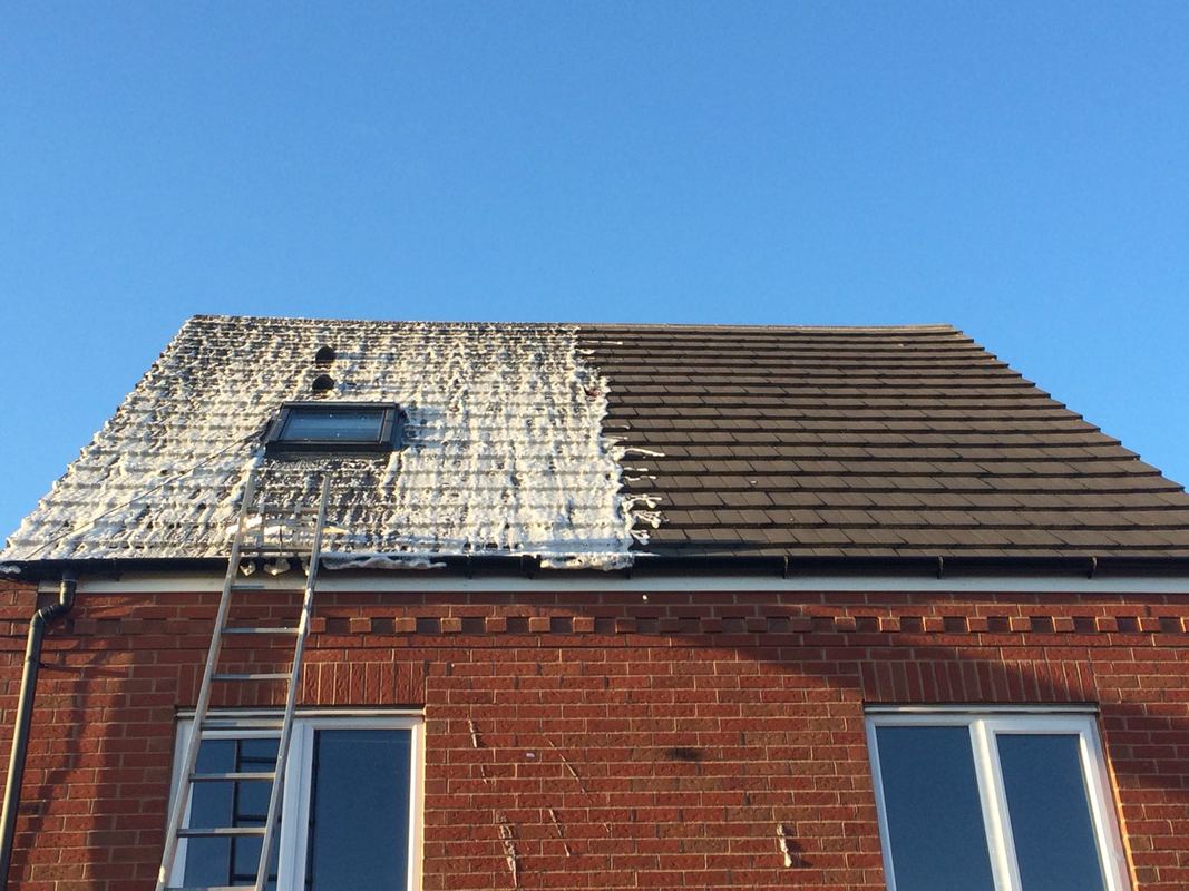 Tile Roof Cleaning