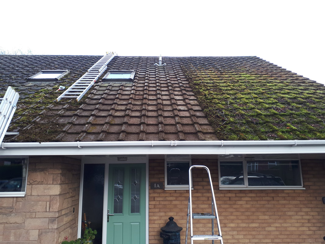 Commercial Roof