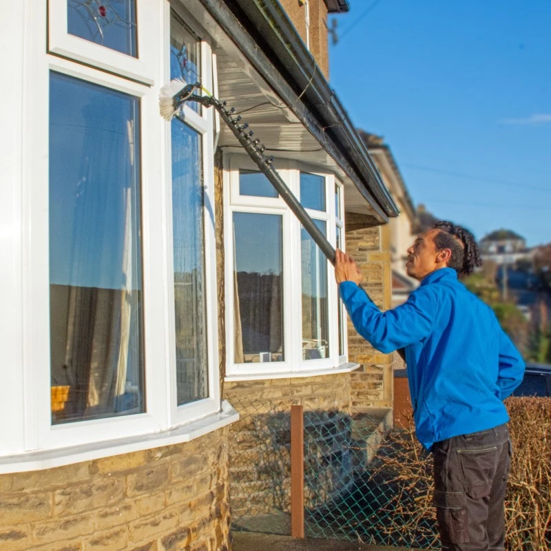 Window Cleaning